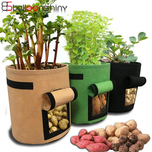 Vegetable Plants Grow Bags